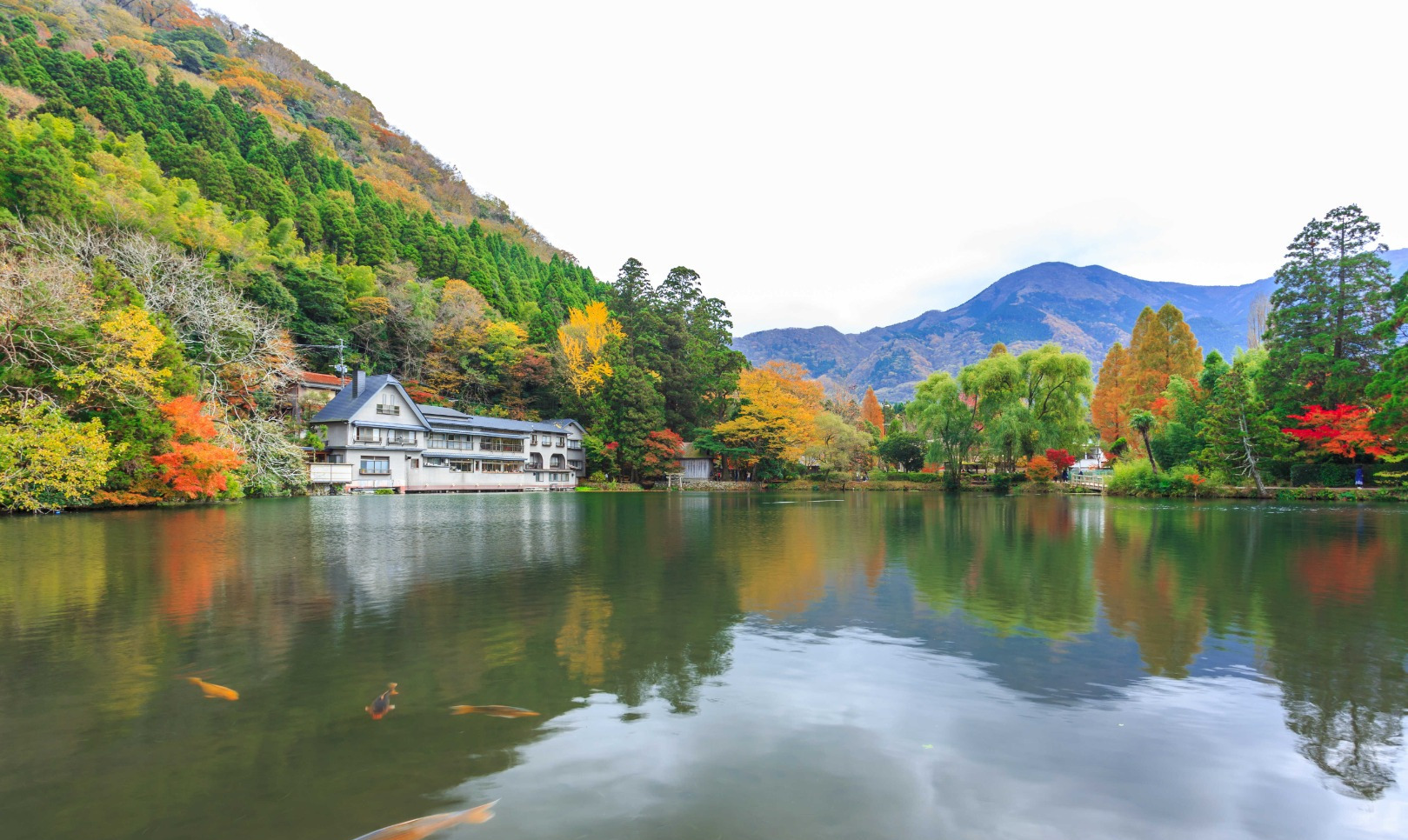 Lake Kinrin, Oita Prefectre